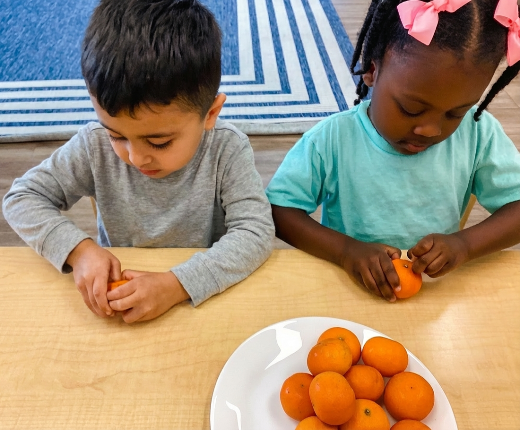 Two children practicing find motor skills by peeling oranges, a Montessori Practical Life activity for ages 3-6.